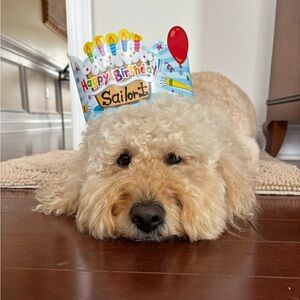 Meet your Posher, Teachers